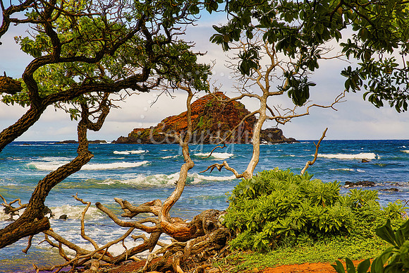 Alau Island 2 from Hana Hawaii