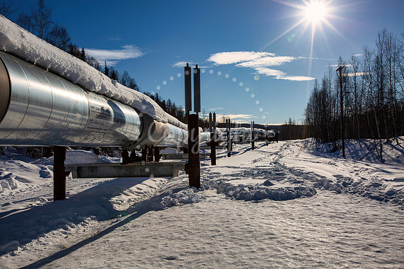Alaskan Pipeline-4