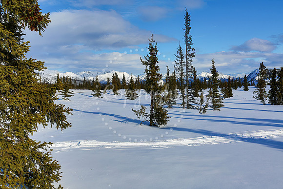 Alaska-6-3